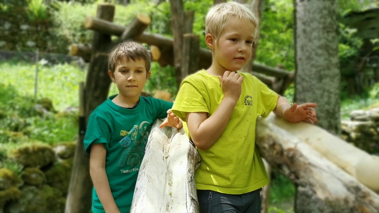 Boccia al Bosco