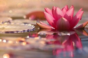 Empathie ohne Maske – was echtes Mitgefühl ausmacht